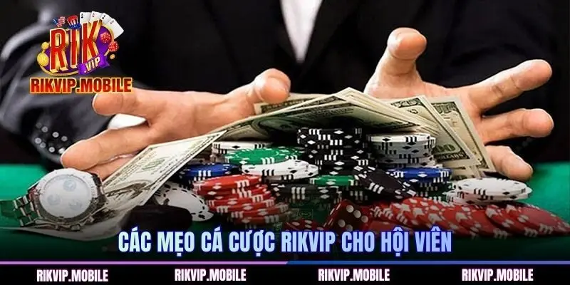 Các mẹo cá cược RIKVIP cho hội viên