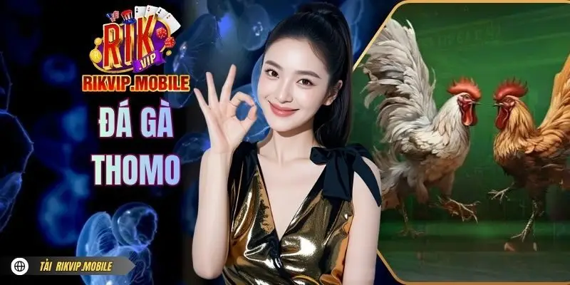 Đá Gà Thomo - Cập Nhật Các Trận Đấu Khốc Liệt Tại RIKVIP