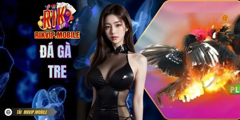 Đá Gà Tre - Sân Chơi Kịch Tính, Kiếm Tiền Đã Tại RIKVIP
