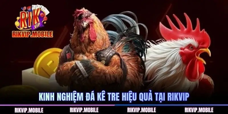 Kinh nghiệm đá kê tre hiệu quả tại RIKVIP