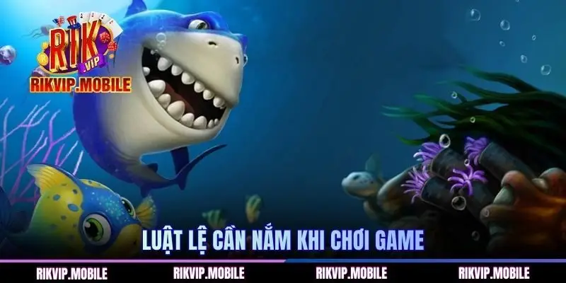 Luật lệ cần nắm khi chơi game