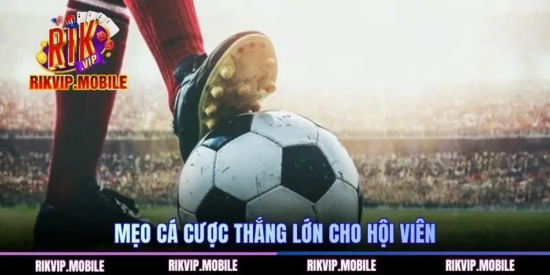 Mẹo cá cược thắng lớn cho hội viên